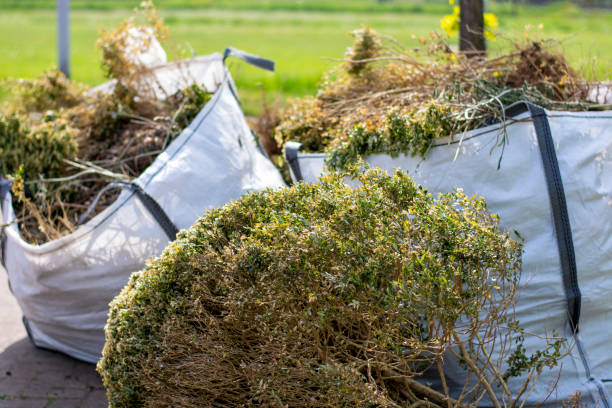 Best Junk Removal Near Me  in Sebastopol, CA